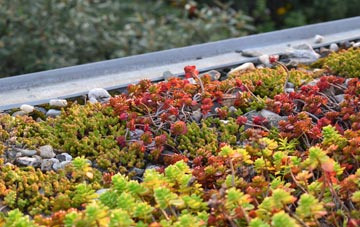 the cost of Thurnscoe green roof installation