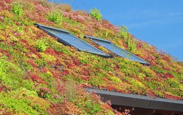 Thurnscoe living roof systems